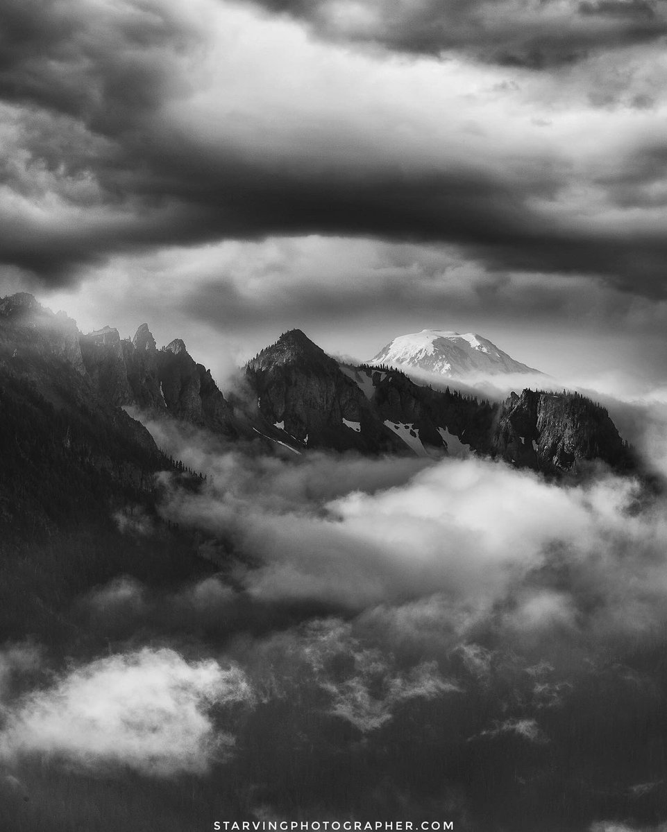 StarvPhotog's tweet photo. I’ve been on a #monochrome kick lately. #blackandwhite #blackandwhitephotography @SonyAlpha #bealpha #alphacollective #nature #landscapephotography https://t.co/wKmM6Te3Kd