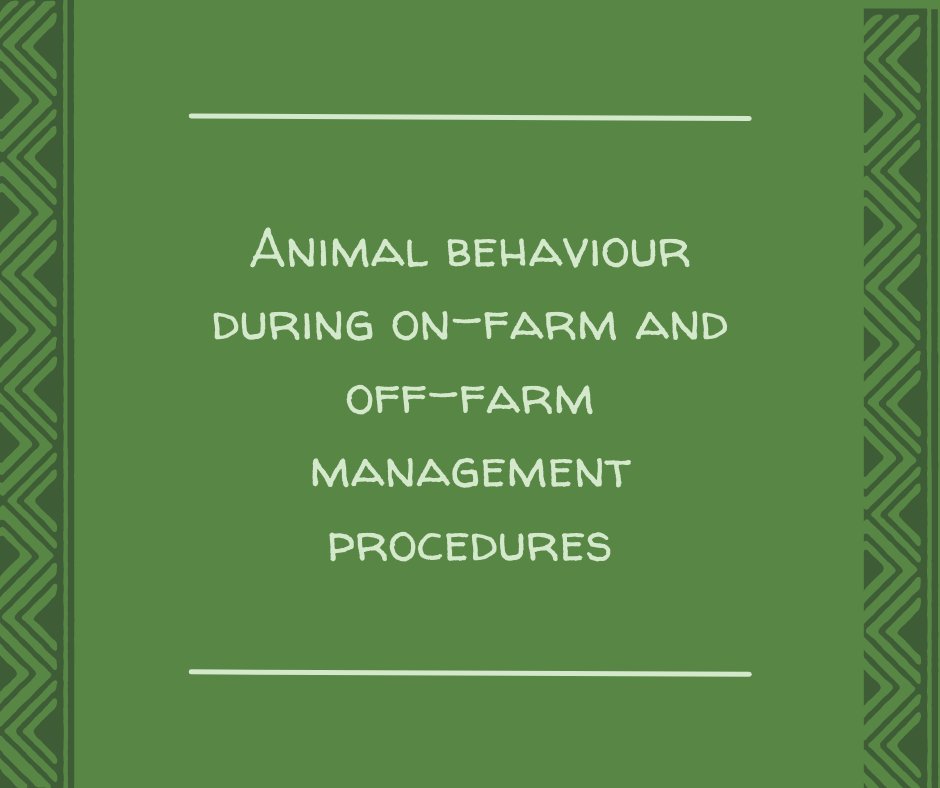 ISAE Congress 2022 tweet media