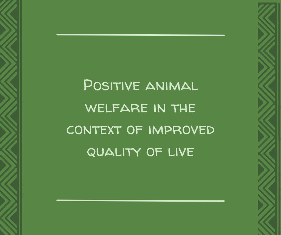 ISAE Congress 2022 tweet media