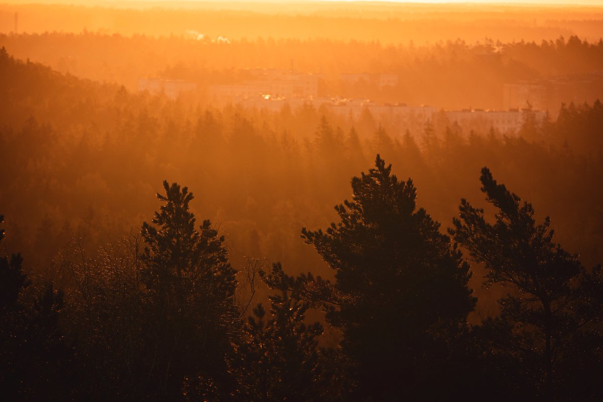 zanegodina's tweet photo. Magical morning in Ogre.
#sunrise #latvia #ogre https://t.co/btjYiOrHKm