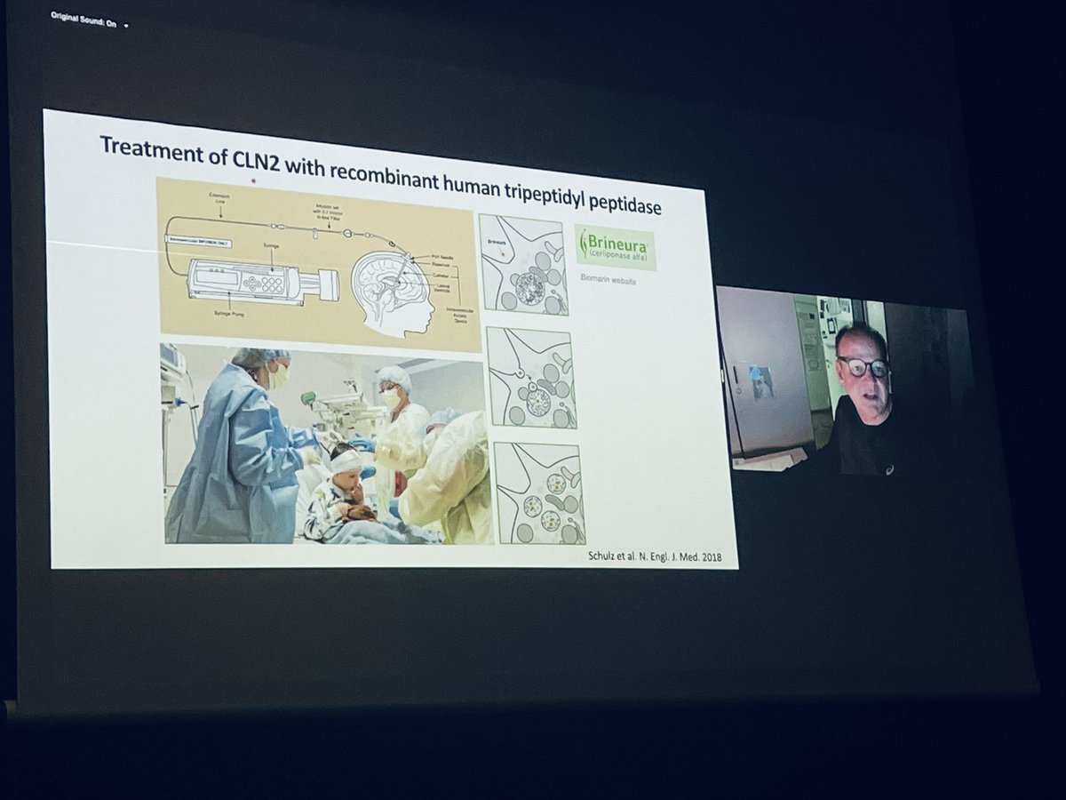 The Lab of Adaptive Immunity and Homeostasis tweet media
