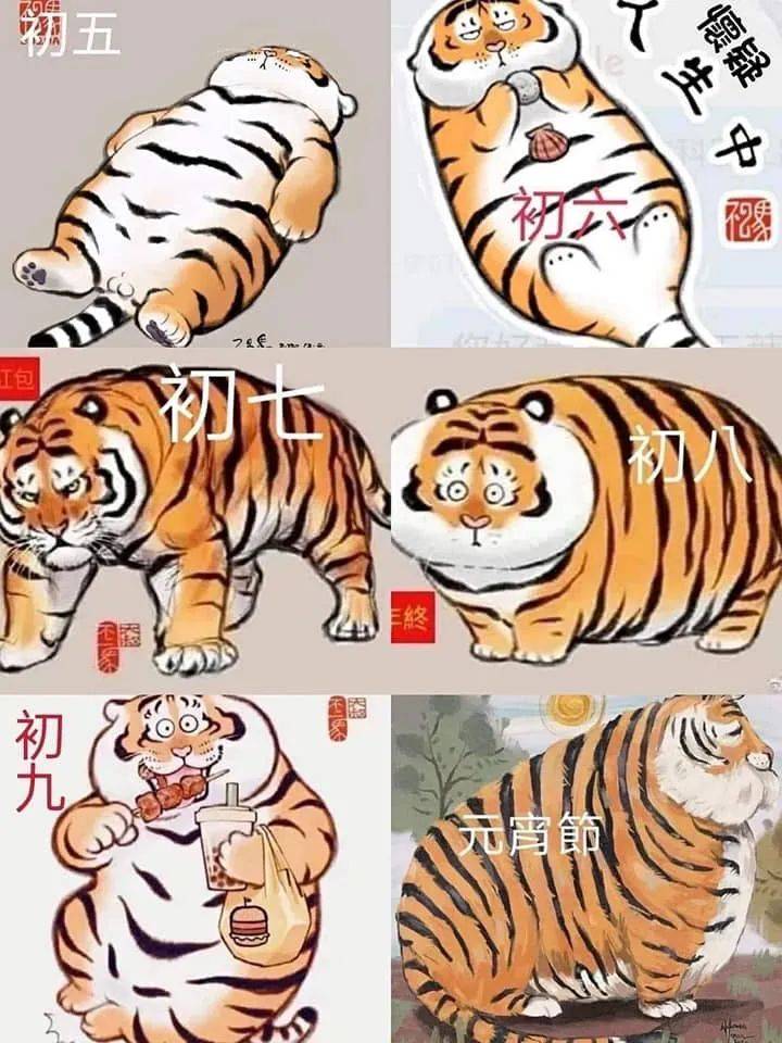charngjinn's tweet photo. 終於年快過完了~~~🤣🐯 https://t.co/BELlqsykSf