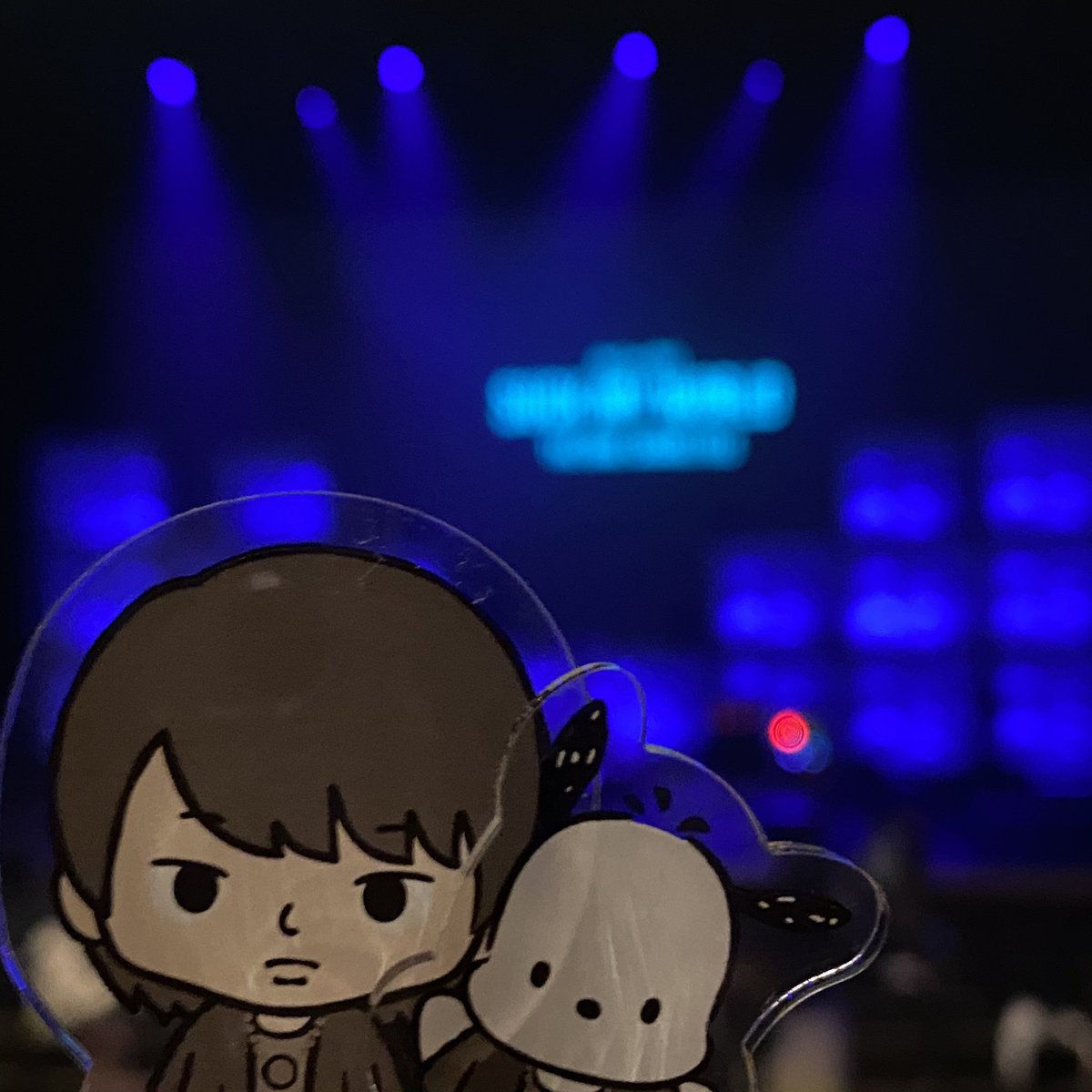 * すずくま *🐻 tweet media