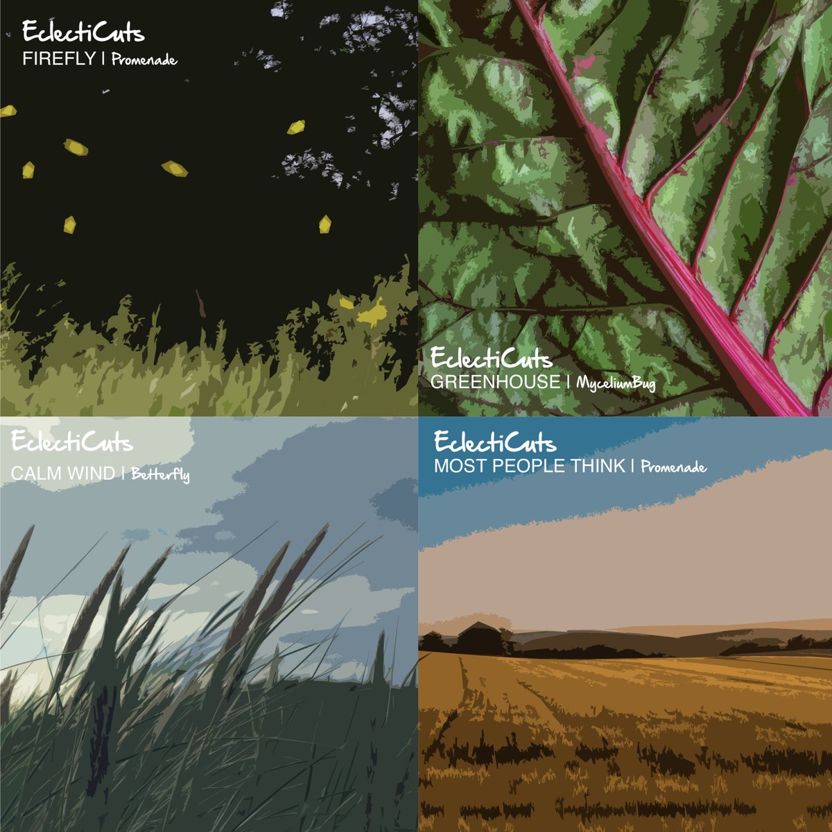 A quick report of our latest releases.

Stream our music on all major streaming platforms:
<a href="/Spotify/">Spotify</a> <a href="/YouTube/">YouTube</a> <a href="/AppleMusic/">Apple Music</a> <a href="/AmazonMusic/">Amazon Music</a> <a href="/Deezer/">Deezer</a> and many more. 

Promenade - Firefly 

MyceliumBug - GreenHouse

Betterfly - Calm Wind 

Promenade - Most People Think

#chillhop #lofi