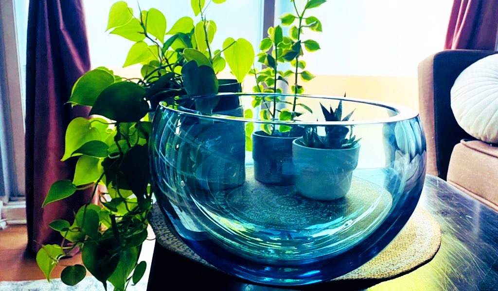 glassarqat's tweet photo. Aujourd'hui j'ai 29 ans et je n'ai qu'un souhait pour l'année qui se présente, vivre de mes créations. Pour ça j'ai besoin de visibilité à travers vos RT 

Je souffle du verre et fais des vitraux sur commande.

Merci d'avance 🙏
Je suis aussi sur Insta: https://t.co/jRPfjNtaPa https://t.co/dqmaR4xMY7