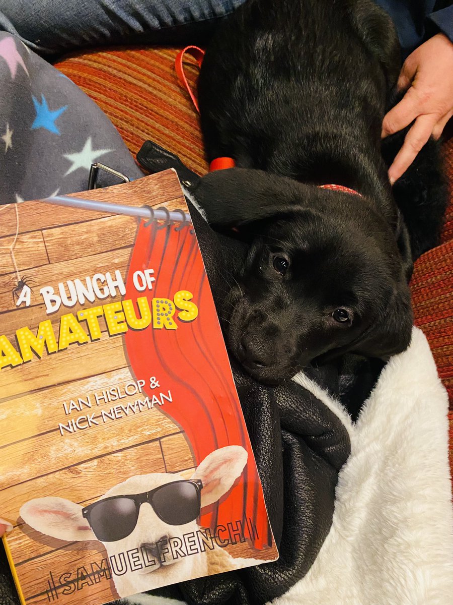 Charlotte Brown tweet media