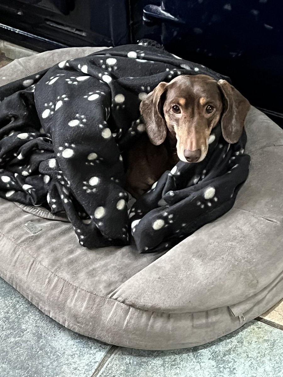 herrbutters's tweet photo. I got ice cream on my head so was given a shower. I’m now cold and shivery and grumpy https://t.co/UztRhwN7g9