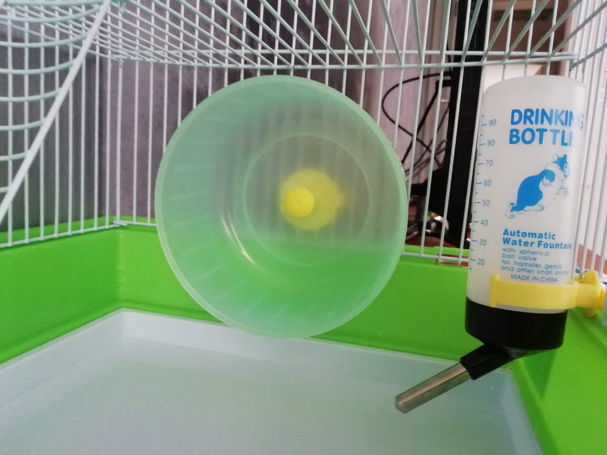 ellysian__'s tweet photo. Selam! Hamsterım Teodore'a çok büyük geldiği için kafesini satmak istiyorum. Kırık veya eksik yok ve mama kabı, evi ve çarkı da içinde. Fiyatı 250 TL pazarlık yapılır. İlgilenen olursa benimle irtibata geçebilir mi? https://t.co/ZOFvgVrN7L