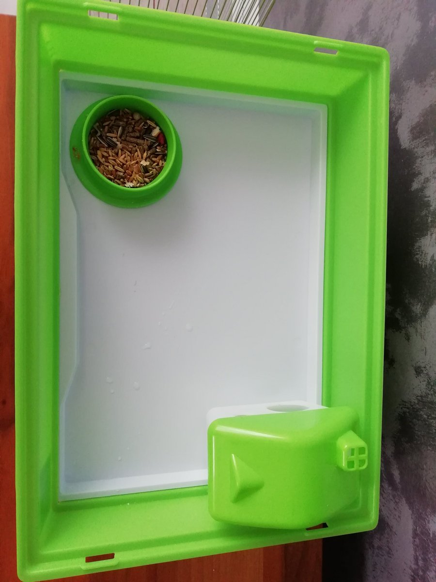 ellysian__'s tweet photo. Selam! Hamsterım Teodore'a çok büyük geldiği için kafesini satmak istiyorum. Kırık veya eksik yok ve mama kabı, evi ve çarkı da içinde. Fiyatı 250 TL pazarlık yapılır. İlgilenen olursa benimle irtibata geçebilir mi? https://t.co/ZOFvgVrN7L