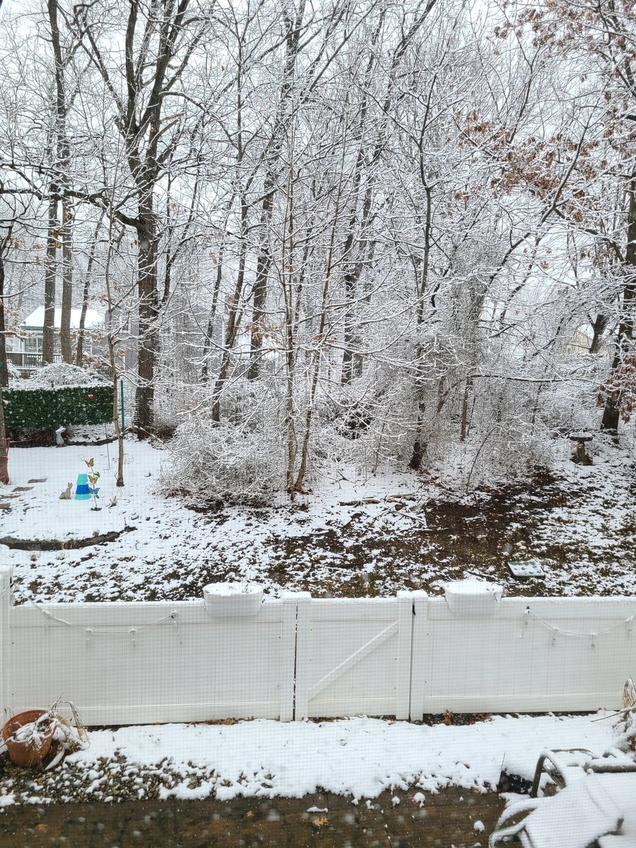 brian_bonafitz's tweet photo. Yesterday, temps in the mid-60's &amp; thoughts of Spring dancing in our heads. Today, snow is falling &amp; Winter is reminding us that it's not done yet. Ugh. Enjoy your #Sunday, y'all! #SundayFitz #Weekend #FitzGirlsRule #ViewFromTheKitchenWindow #MiddletownNJ #StayHealthy #February https://t.co/oyc5LKlai6