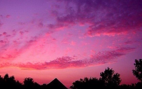 ramblingsloa's tweet photo. The way is not in the sky.
The way is in the heart.

The Buddha https://t.co/hQtJTO3OmF