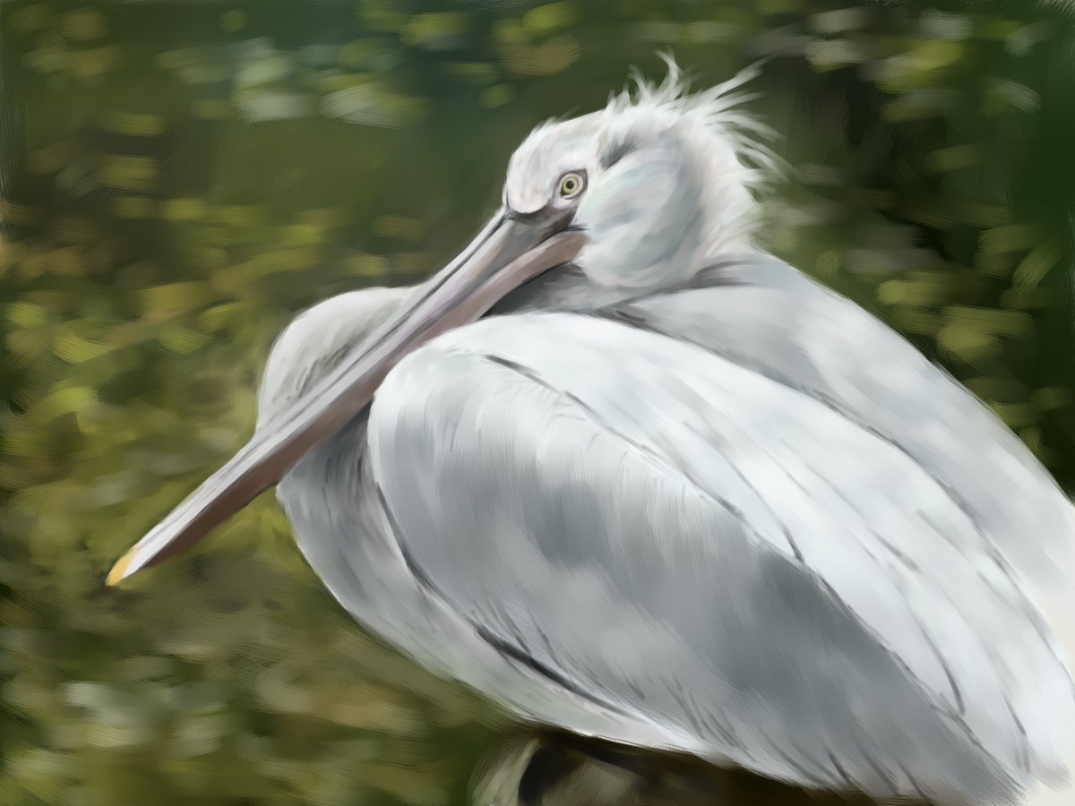 Elena Belova tweet media