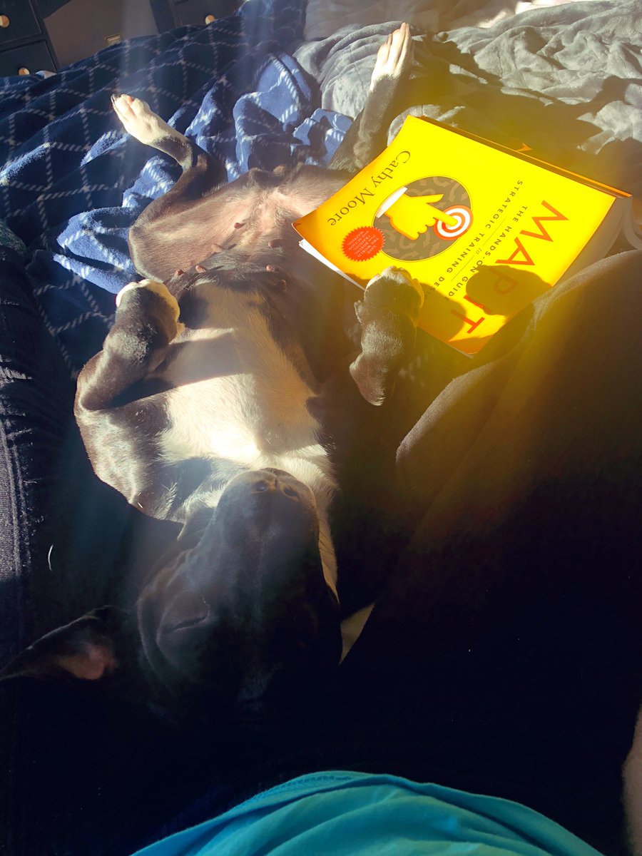 CleaMahoney's tweet image. Cheyenne loves #ActionMapping just as much as I do 🥰