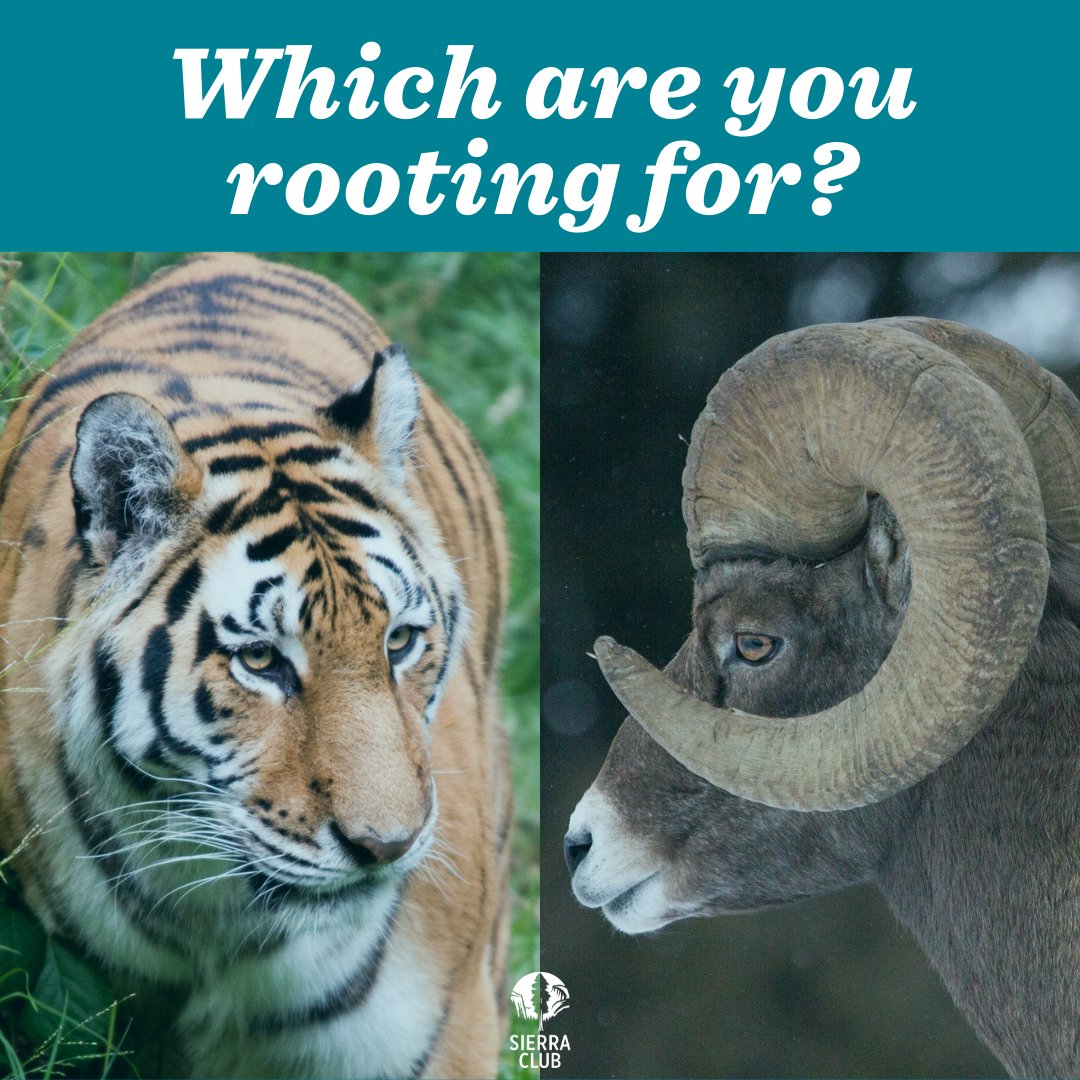 Reply and let us know!