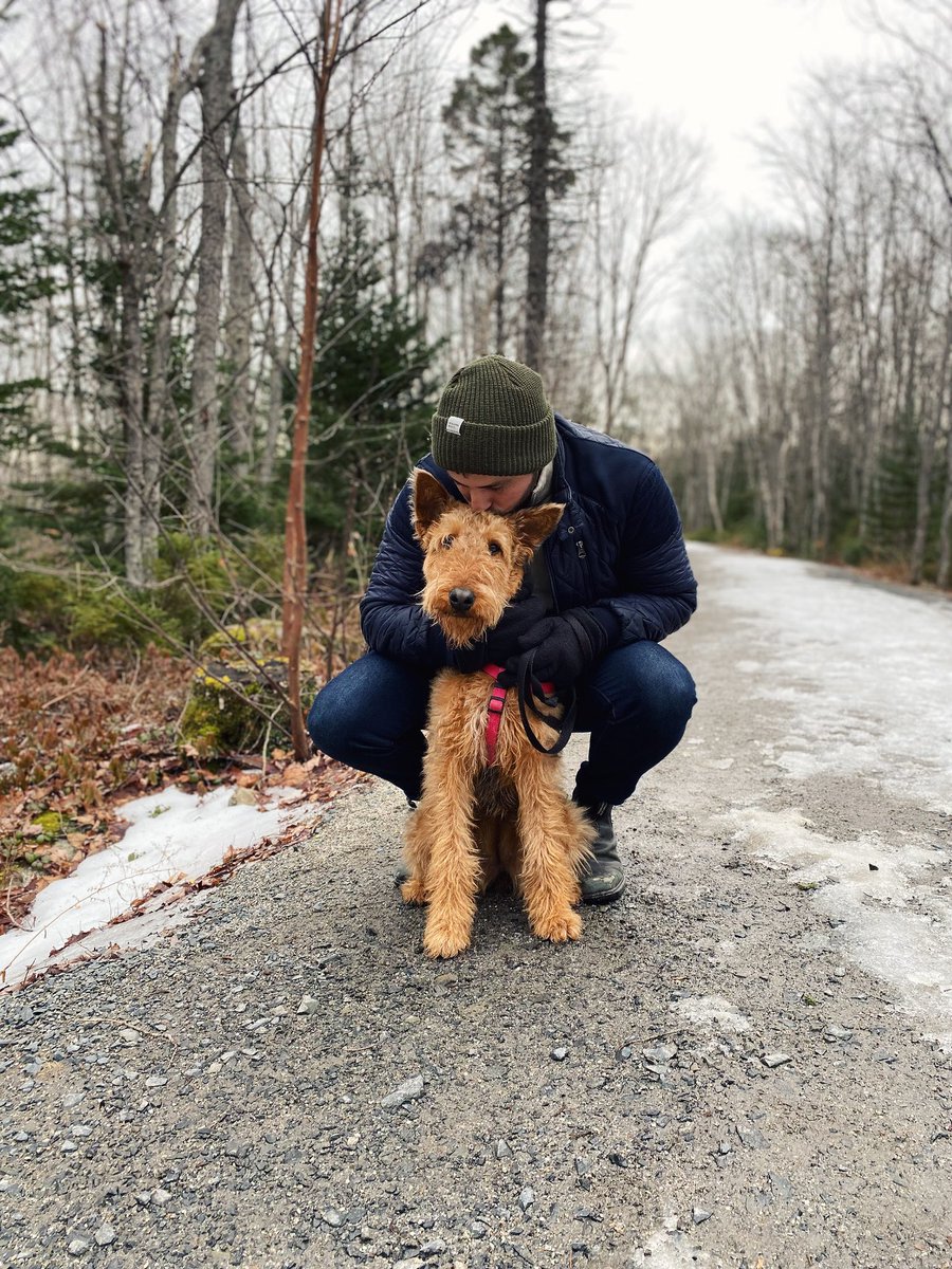 Just a boy and his valentine 🐕💕 #airedaleterrier