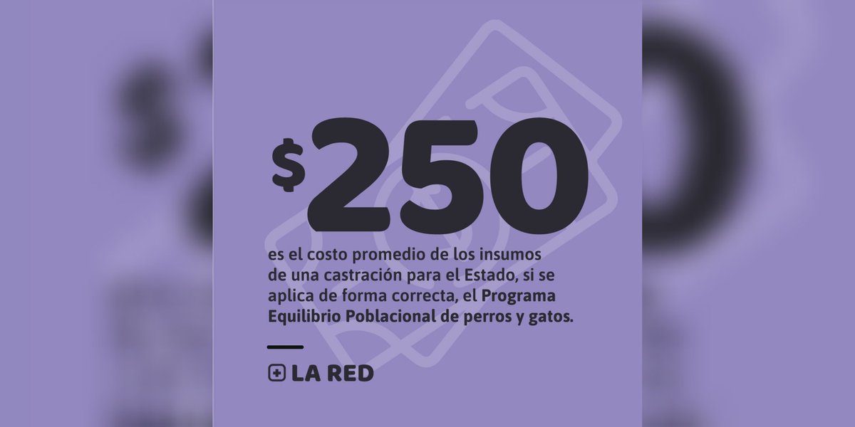 Red de Políticas Públicas tweet media