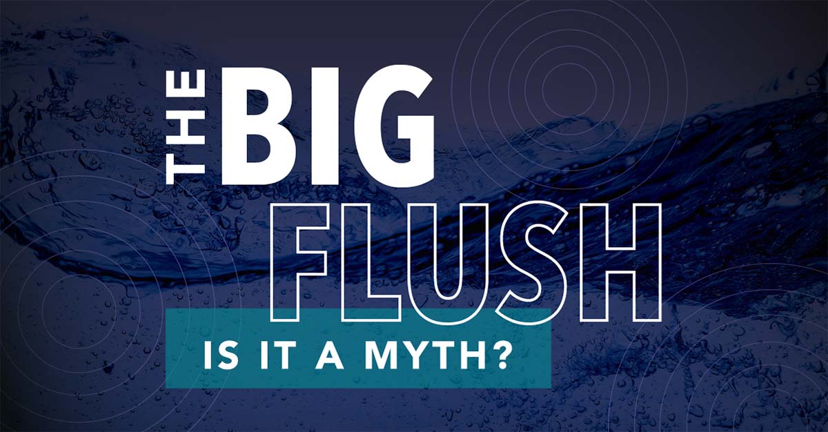 Xylem's tweet photo. Do our collective bathroom breaks during the big game overwhelm municipal #watersystems? No!
At halftime, take a second to give a shout-out to our municipal and water utilities for ensuring these critical operations run smoothly. 🏈🚽
#LetsSolveWater #bigflush #SBLVI https://t.co/kodn1Jkudm