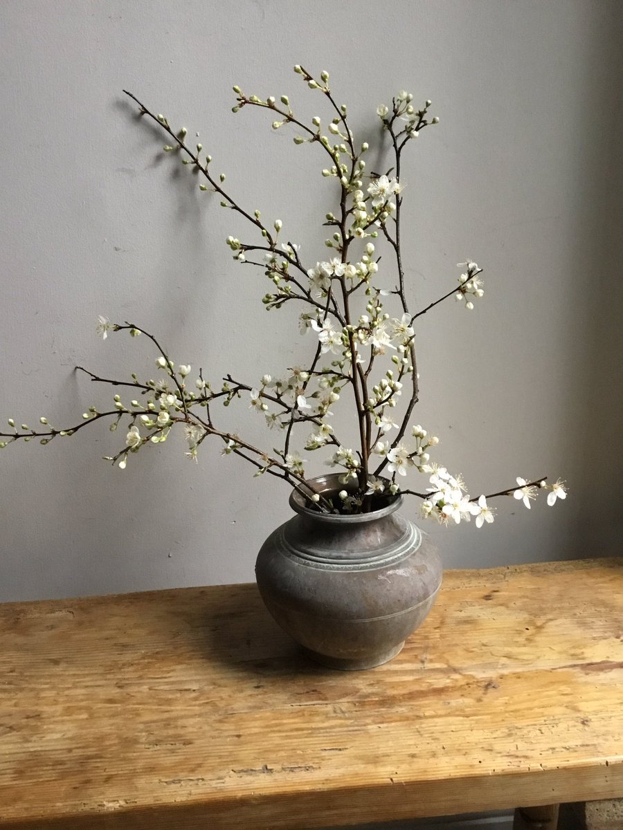 GardenBrocante's tweet photo. Can’t help liking a twig arrangement! Hope you have a good evening.  Z xx https://t.co/oIlsZFa1K7