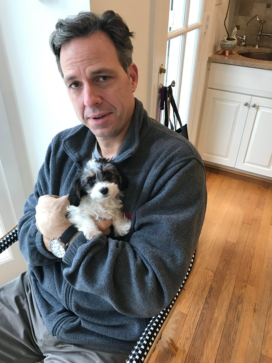 WinstonTapper's tweet photo. This little one came into our lives 5 years ago today. Happy Clemmieversary! https://t.co/NxU442emZC