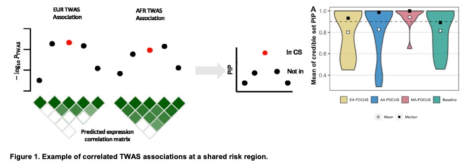 multi-ancestry TWAS improves power for causal gene identification - software (github.com/mancusolab/foc…) outputs causal genes using eQTL weighted GWAS sum stats. Good news - causal genes are more likely to be shared across ancestries(in blood traits). biorxiv.org/content/10.110…