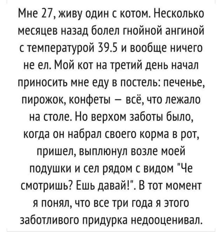 Коты они такие😊
