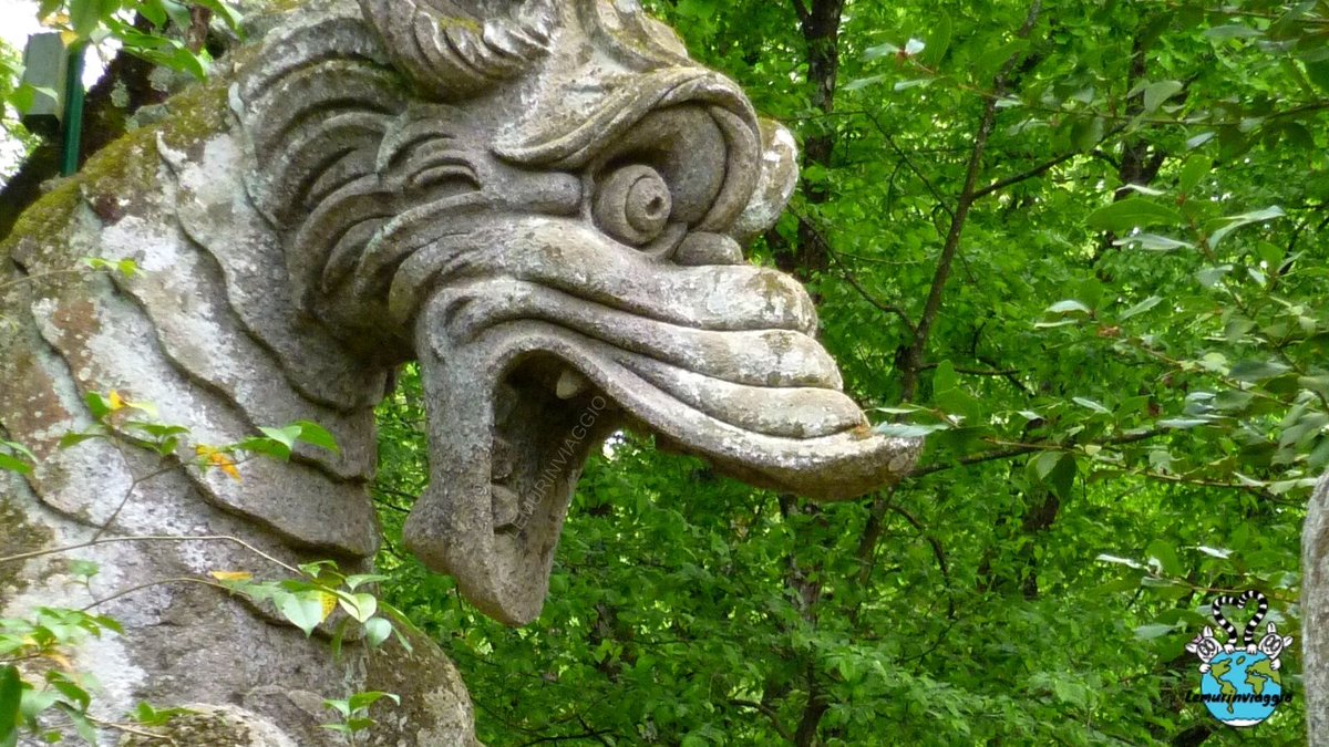 Lemurinviaggio tweet media