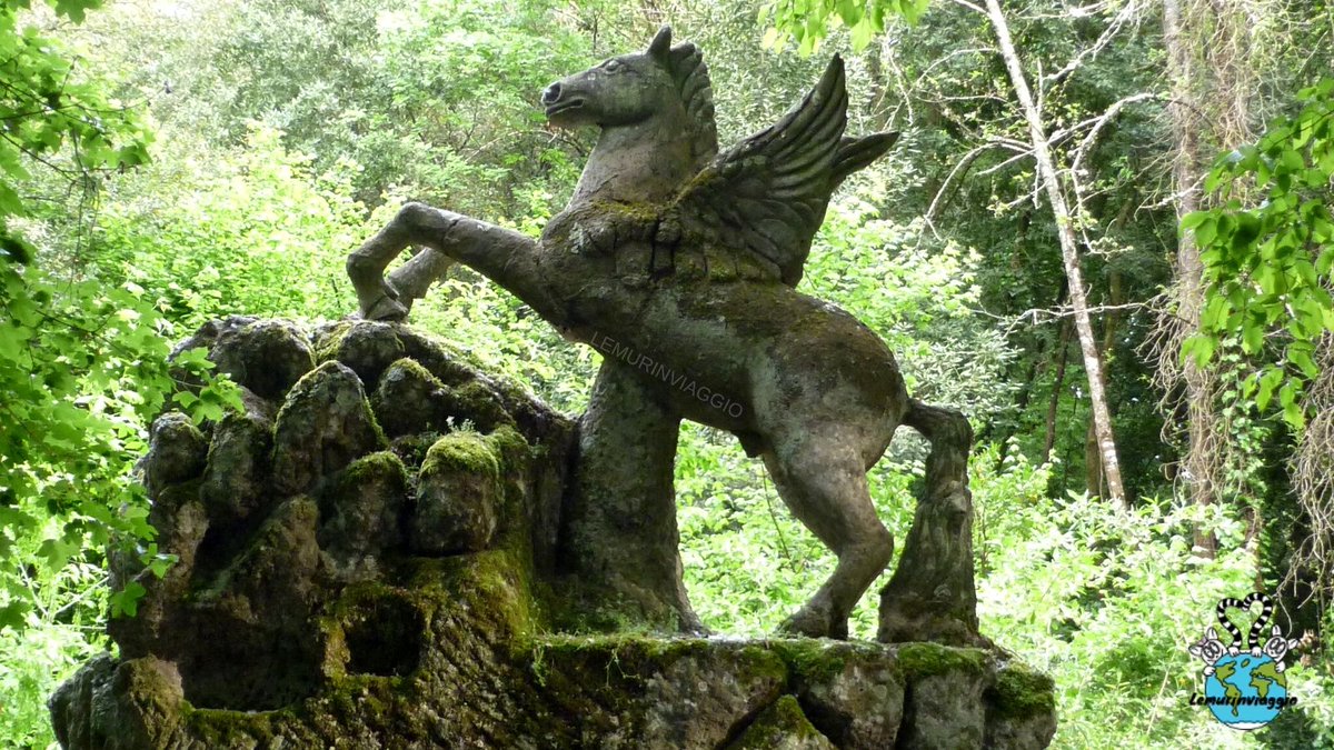 Lemurinviaggio tweet media