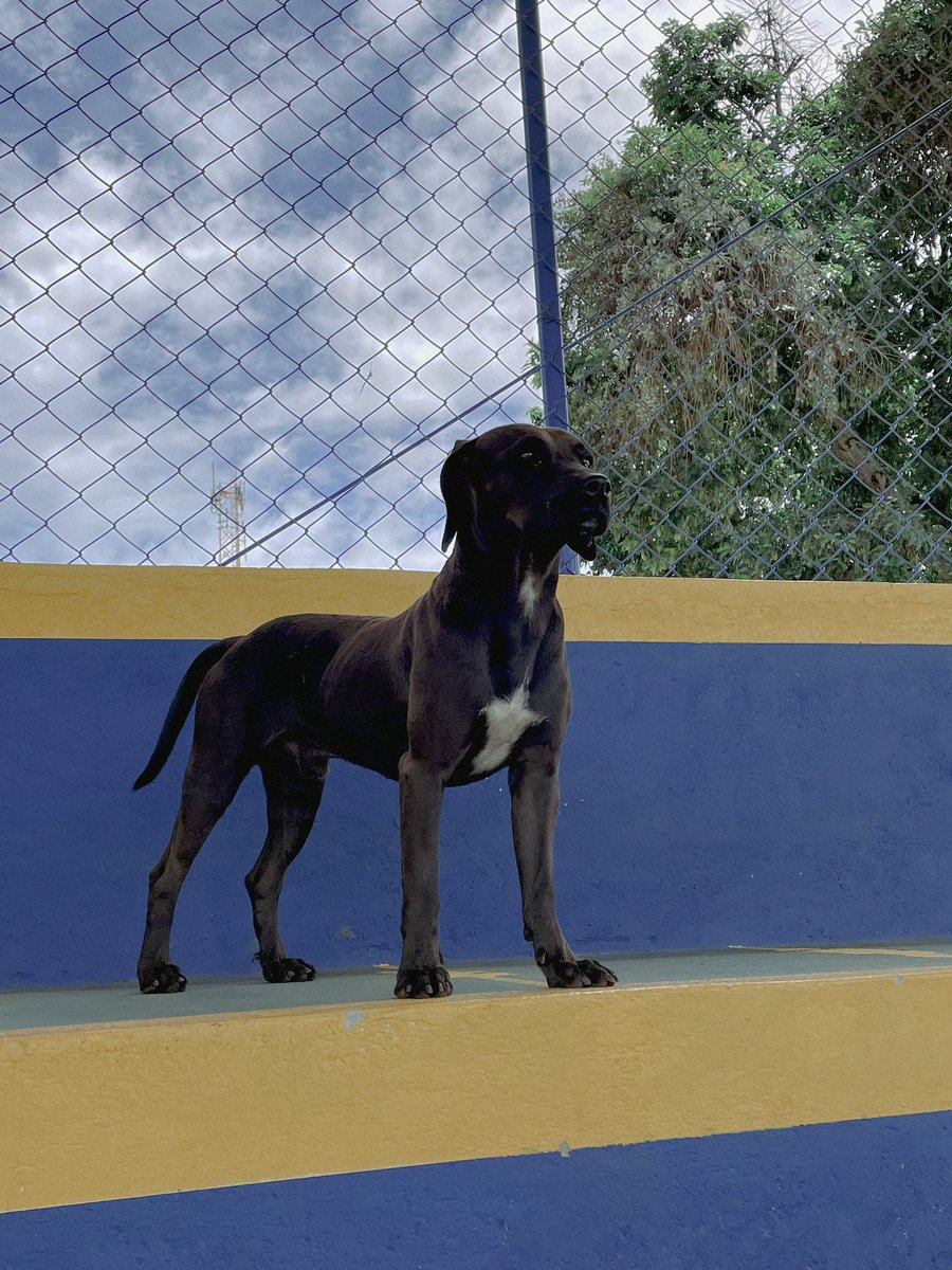 Brasilia_FC's tweet photo. Chegamos no estádio e tem uma visitinha ilustre!😎 https://t.co/83QbkZtW9w