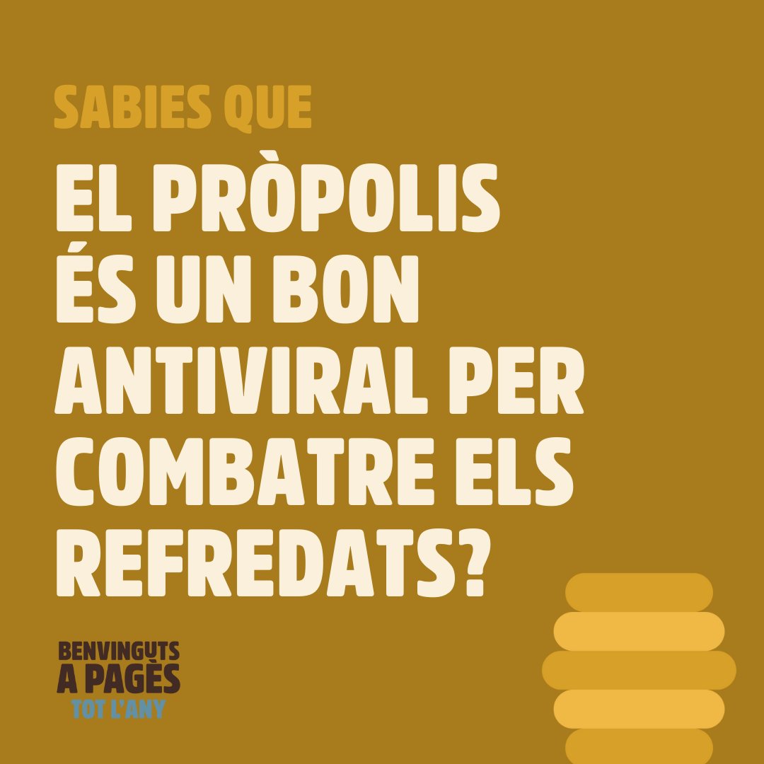 BenvingutsPages's tweet photo. Coneixes el pròpolis? 🍯 L'has utilitzat alguna vegada? 🐝
.
La mel, una medicina ancestral que arriba als nostres dies a través de les explotacions de mel de Benvinguts a pagès tot l'any! 👉 https://t.co/j1P6xNAhja
.
#SocPages #SocPagesa #productelocal #Pagesiacatalana https://t.co/fTBagYki9U