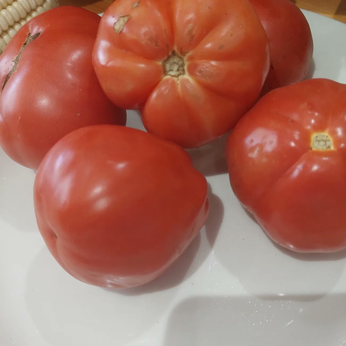 ngi_happy's tweet photo. From my own garden @home.
#tomatoes #spinach #mealies #organic 💕 https://t.co/TRaQClwKZf