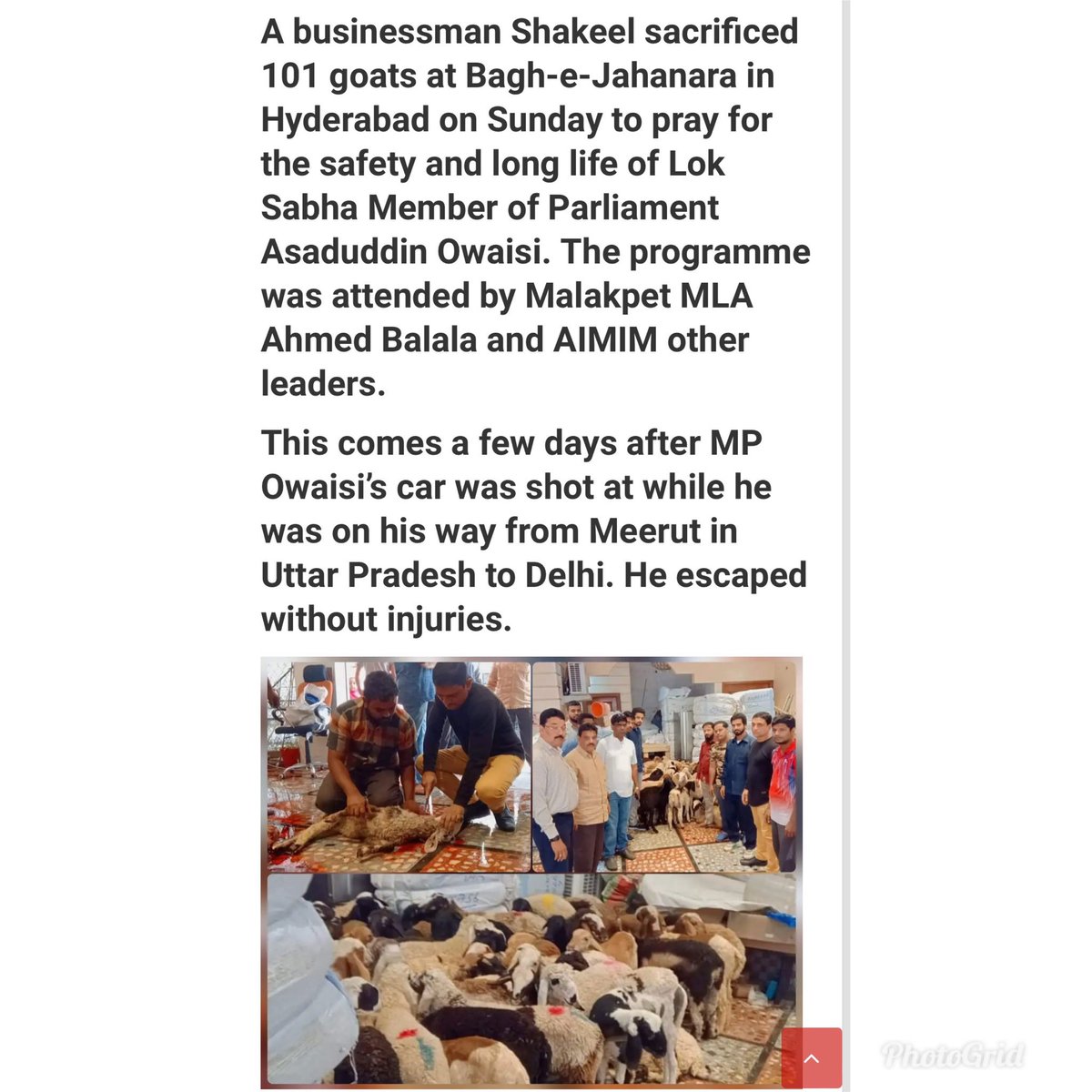 asharmeet02's tweet photo. Progress! FIR registered against Hyderabad businessman and his accomplishes for sacrificing 101 goats. The goats were sacrificed as prayer for well-being of Lok Sabha Member of Parliament @asadowaisi ji. The Rein Bazar police station registered an FIR based of our complaint. https://t.co/d42XRuclnB