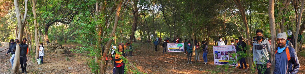 saveajnivann's tweet photo. There are a total 56 different tree species in the entire stretch of Ajni Vann out of which
36 are native species. The claim that there are only Subabool trees is a lie! #SaveAjniVann
#SaveTrees40000+ @AUThackeray  @nitin_gadkari @BodkheShilpa https://t.co/NXbPR8uNFS