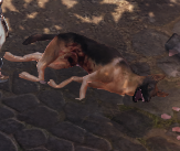 Archemier's tweet photo. dead doggo https://t.co/dpPNDfBysA