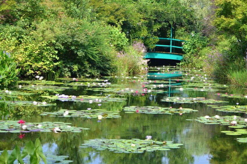 allontanarsio's tweet photo. Claude Monet's garden from art to life https://t.co/2E84NLa9pT