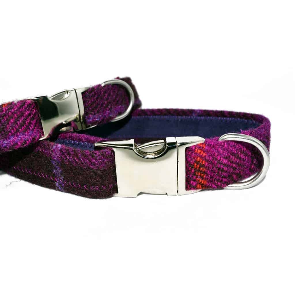 stylishdog's tweet photo. They're back!  Harris Tweed Dog Collars with Bow Ties

https://t.co/0q8KiZPQUQ
#tweedcollars #dogbowties #poshdogs  #dogsuk #dogcollars #harristweed #designerdogcollars https://t.co/PQdxjAcFqB