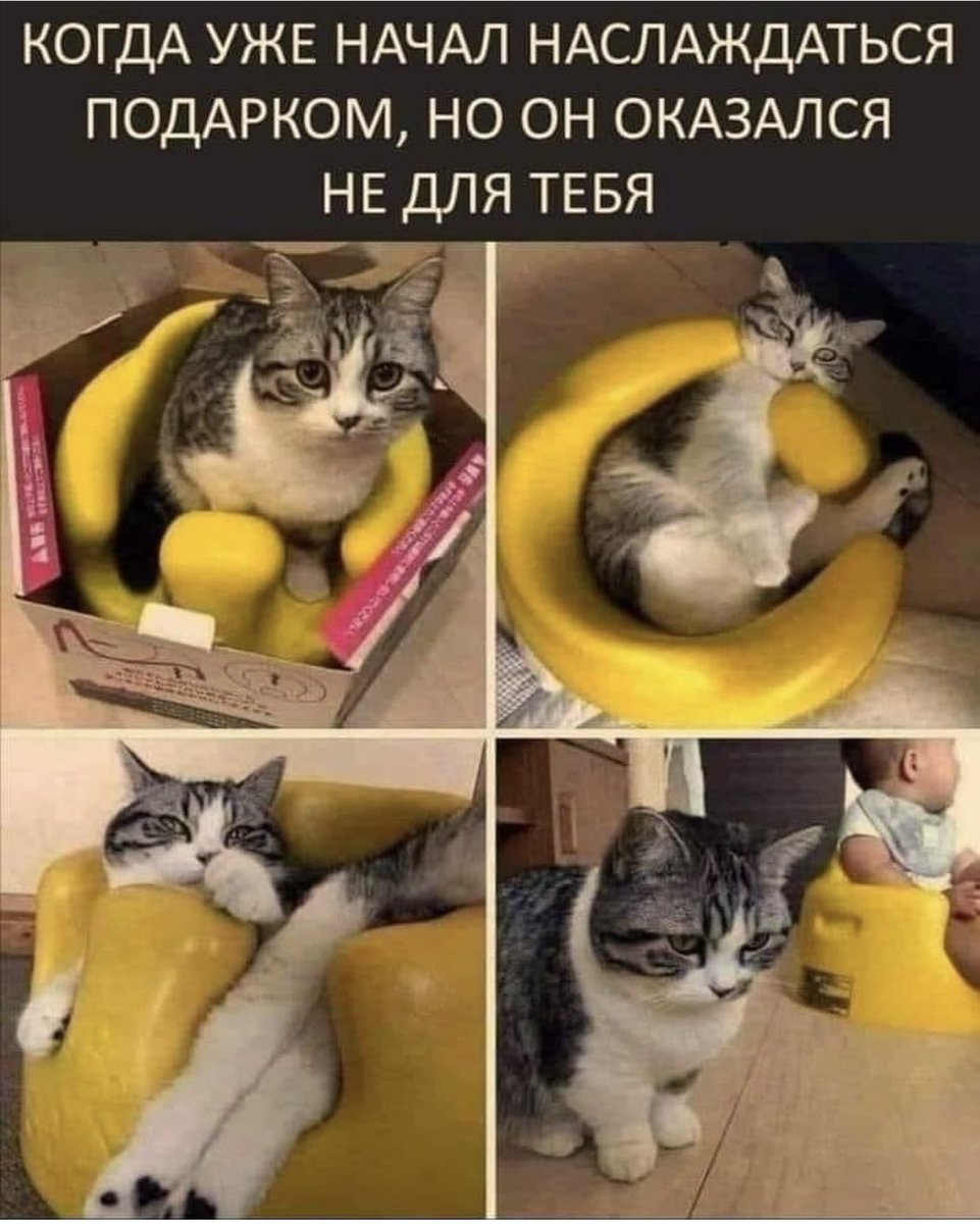 Итак,не прошло и трёх лет, а у меня сломалась батарея в квартире…Не то, чтобы она была новой, да и в целом ее обещали поменять года два назад… 🤔 Но неприятненько…А ещё, сегодня обещали прямо жару и солнышко, но не было особо ни того, ни другого… Прямо минимум из возможного..