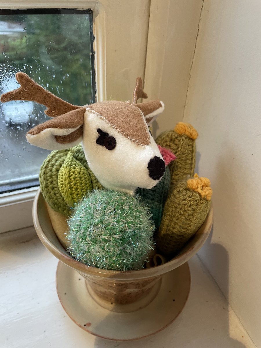 Freya the fawn  ⁦<a href="/coolcrafting/">Sarah Peel</a>⁩ , head made the body will follow later great pattern and instructions, not my usual crafting but I love her already, sitting amongst crochet cacti