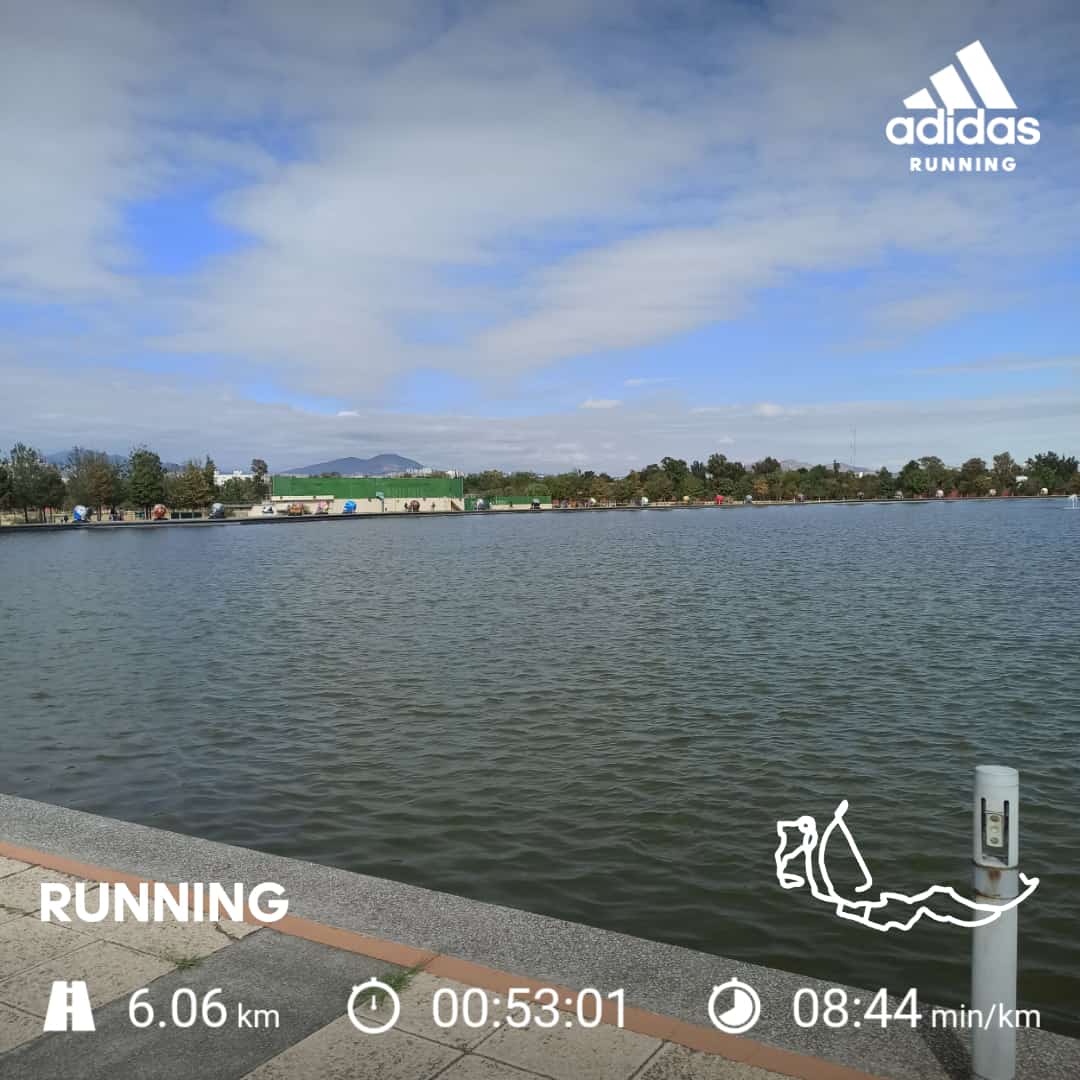 pachonf5316's tweet photo. Excelente domingo #runners #yoelegicorrer 👏👏 https://t.co/Dm5slTPlMS