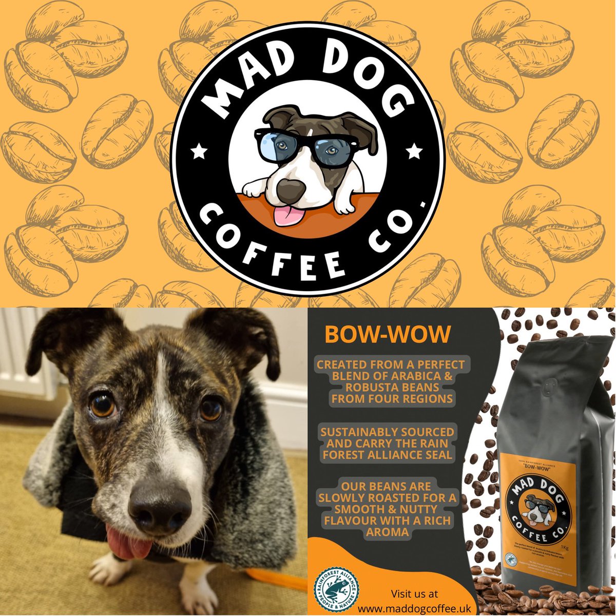 <a href="/TheoPaphitis/">Theo Paphitis</a> We are a small family run business. We believe that coffee has the power to deliver something special. For every coffee that you purchase you directly support Animal Rescue Centre’s and homeless charities across the uk. We would love to grow our brand and join the #SBS community