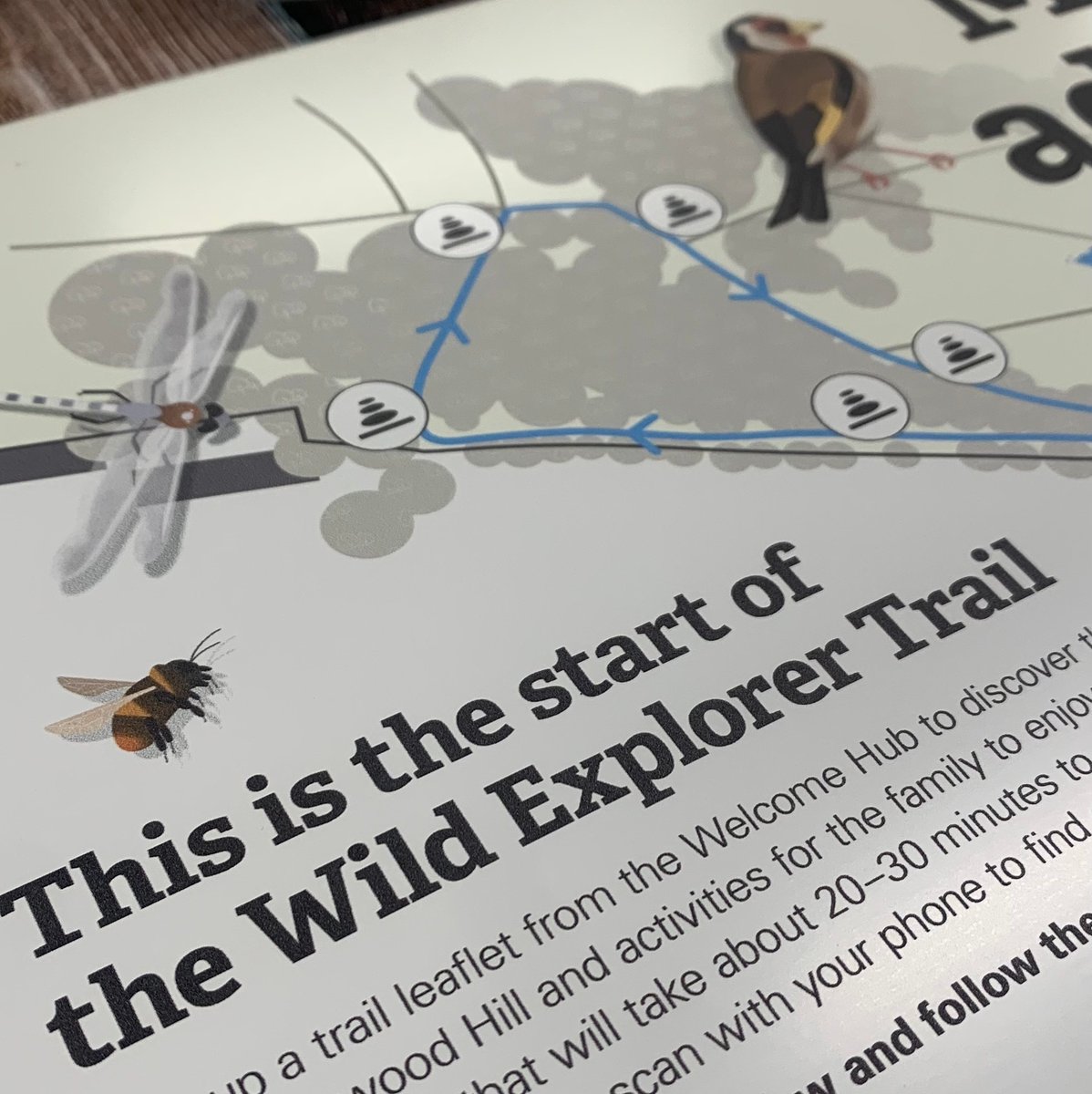 helloblue tweet media