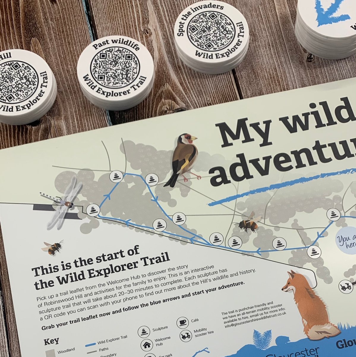 helloblue tweet media