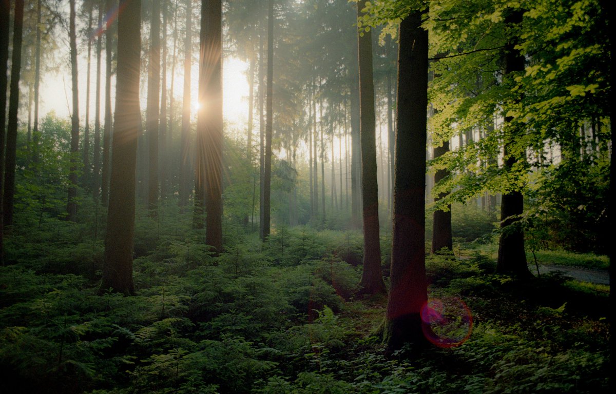 where i live on 35 mm film 🎞️