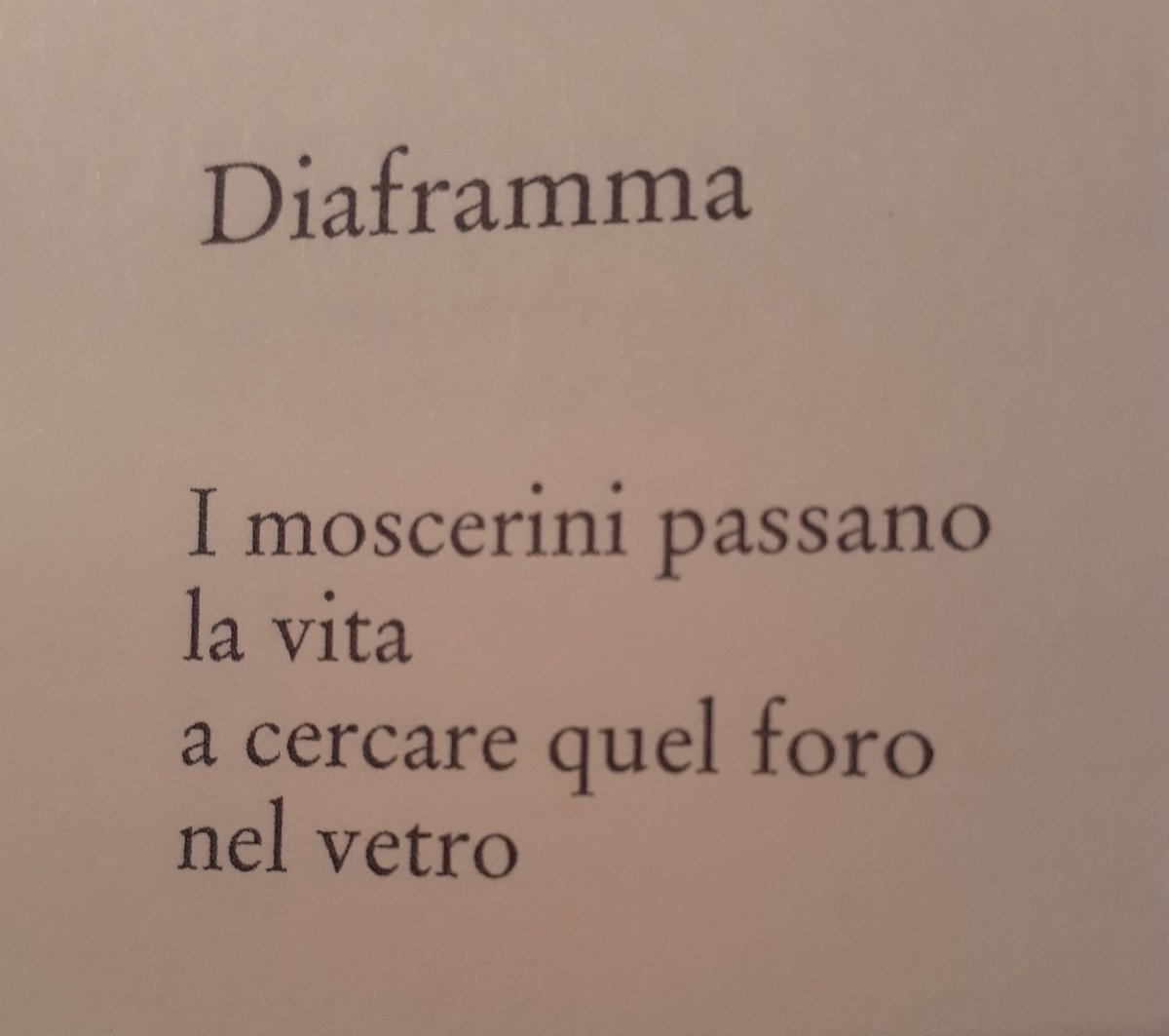 RobertoPasini9's tweet photo. L'APE GUARDIANA 
Manni, Lecce 2021

#letteratura #literature #letteraturacontemporanea #contemporaryliterature #poesia #poetry #poesiacontemporanea #contemporarypoetry #scrivere #leggere #scrittori #poeti #autori #robertopasini https://t.co/tVB5WtVSCj