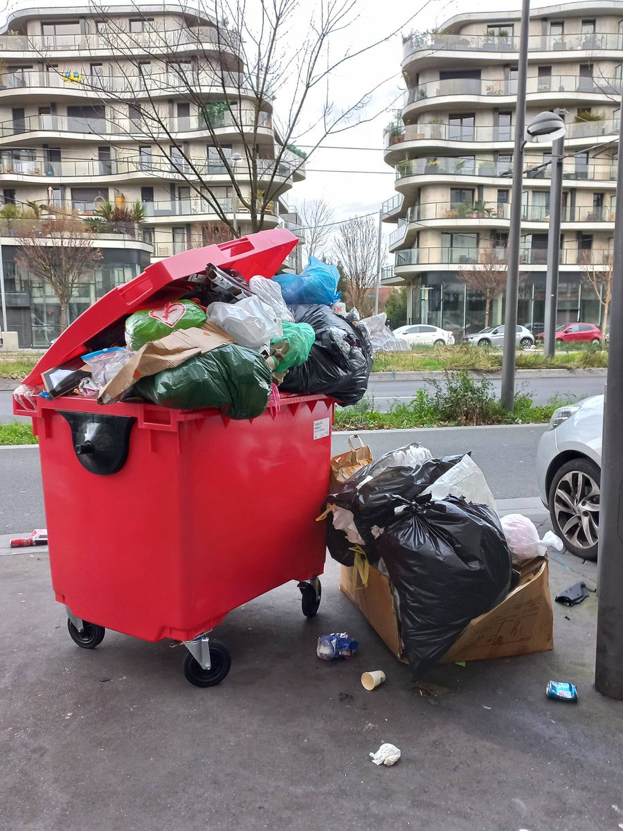 CAbandonnee's tweet photo. Bonne nouvelle, on a installé une forêt urbaine aux FJ à #Colombes
Bon d'accord, avec un tel enthousiasme, ils n'ont pas pu s'empêcher de déborder sur l'avenue Charles de Gaulle...
Trop fort, ces #eelv #eelvcolombes
#stopcrade
#saccageColombes https://t.co/UgeRt2XgDr