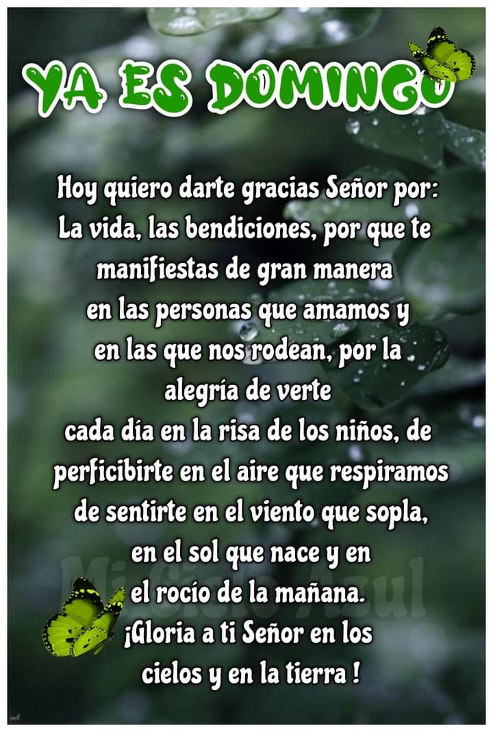 BosingNahuel's tweet photo. @aldunatemiguel @3751_60 @ABA2016DIA @ivonnesanchez18 @Adrysgtapia @ApostolGM @BiblicaR @ImagenesBiblia @OenriqueB @Proyecto_Biblia @wordsoflife777 @martin38alvara1 @AmadoresdCristo @AguilassdeDios @AmordeDios912 @AromaDeJesus @ATUSPIESDIOS @cambiaconDios @CARMENMARAESPIN @Alexander__TG @ADios_LaGloria @ACaro_Ayala @_jorapi @AnaMari65065728 @aldunatemiguel @3751_60 @Adona_i7 https://t.co/JsEx09uLhl