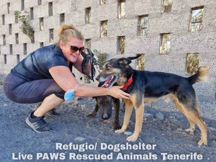 live_paws's tweet photo. DOG WALKING DAYS THIS WEEK ARE;

TUESDAY
THURSDAY
SATURDAY

As our water situation still isn't fixed, if you are joining us and you can bring water for the refuge (tap is brilliant) that would be awesome!

See you on walking days 💛💙🐾 #DogsofTwittter #Tenerife https://t.co/xm0Trn09iO