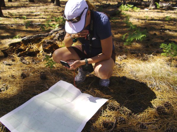 NIFC_Fire's tweet photo. #FireScientist spotlight on Dr. Karen Short - research ecologist @fs_rmrs. "My day job now includes a lot of work at the computer generating large, national-scale datasets needed to assess wildfire risk." https://t.co/jfHU1tgFaO
#womeninscience #IfSheCanSeeItSheCanBeIt https://t.co/GadEypcOzt