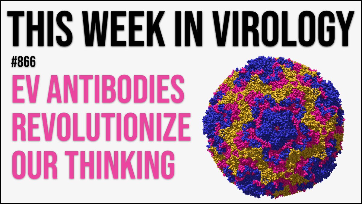 profvrr's tweet photo. Amy returns to #TWiV to discuss her work on the identification of cross-reactive antibody responses among diverse enteroviruses, and the implications for our understanding of viral pathogenesis and seroprevalence studies https://t.co/s7wwTtNEXq https://t.co/nnfMop0uYW