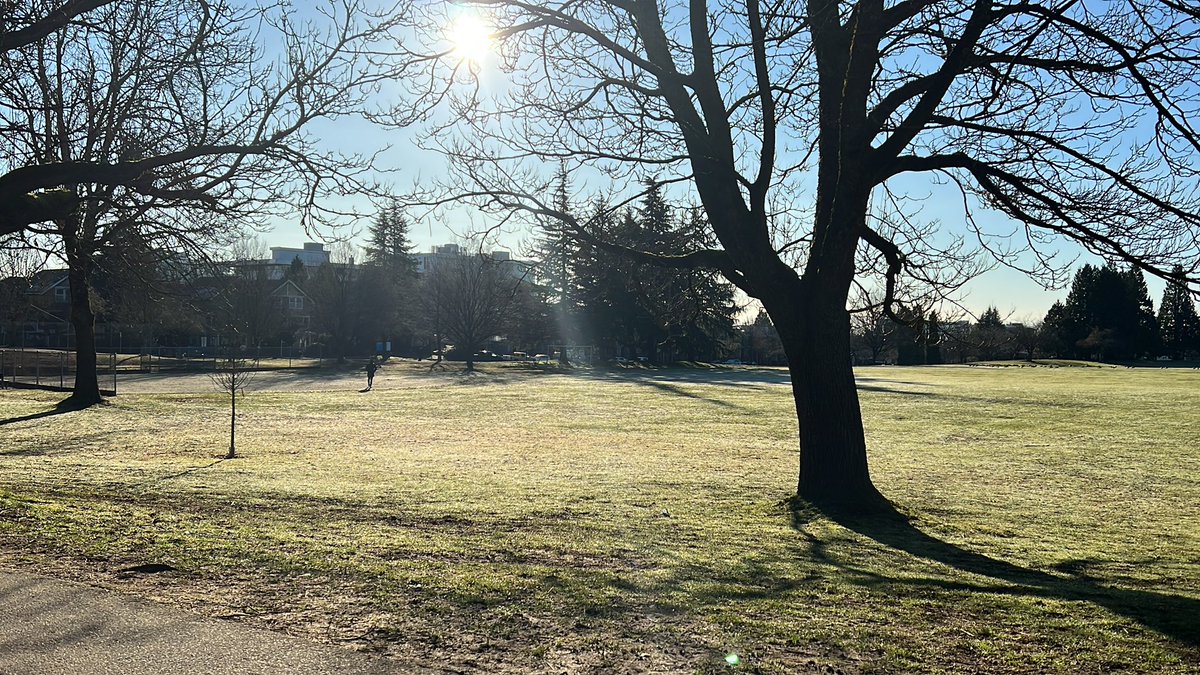 Akeleung's tweet photo. Web3 space moves so fast and everything else in life seems to take priority. I can’t remember the last time I purposefully took a moment to sit down at a park bench and just spectate. I recommend giving yourself a bit of time to reset. You deserve it. #Mentalhealth #wellness https://t.co/LhB1nkM096
