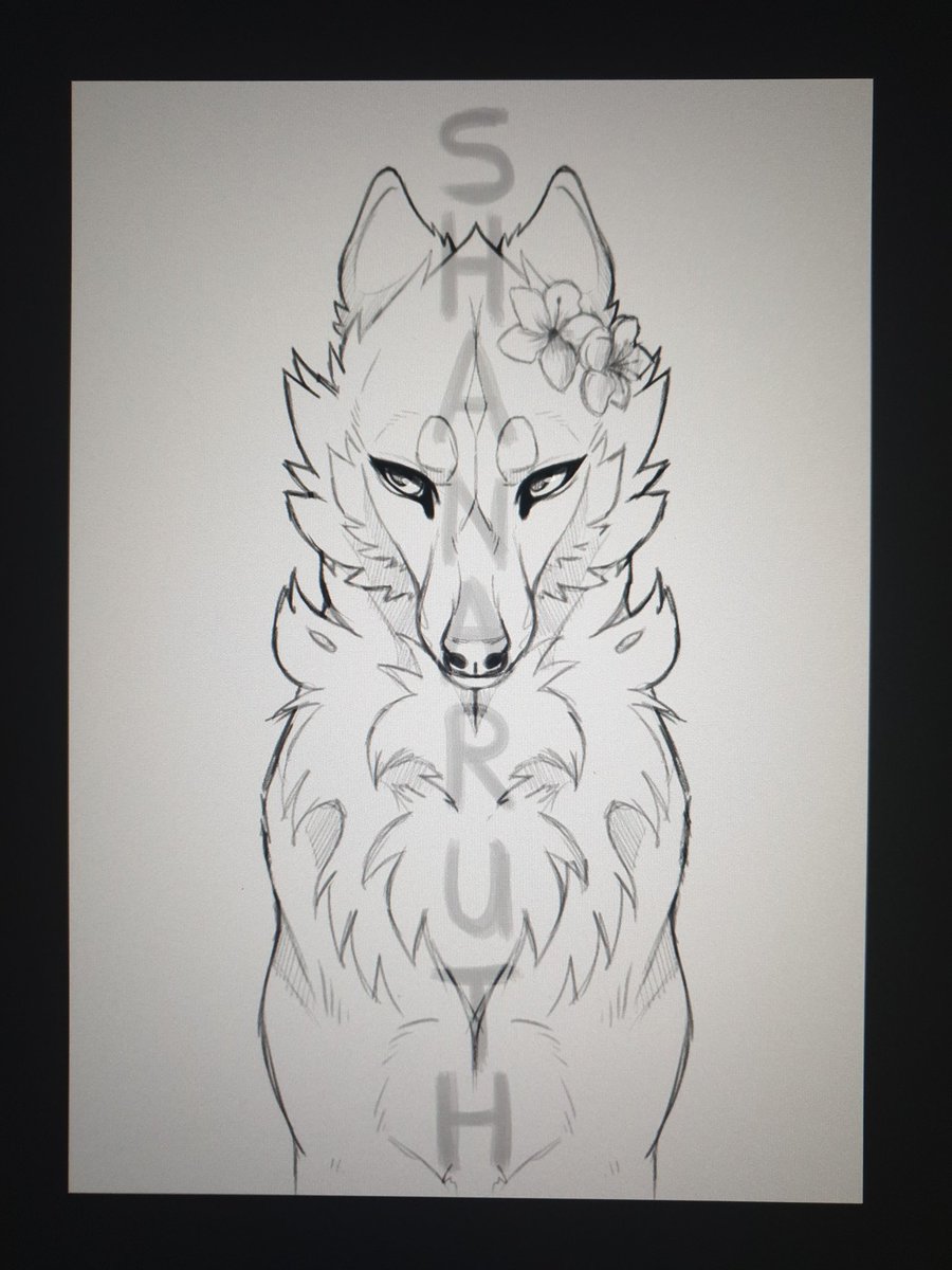 _Shanaruth_'s tweet photo. next small project for Instagram :3 
Real turns into a girl x'D 

#animestyle #animewolves #sketch https://t.co/55APuk1A54